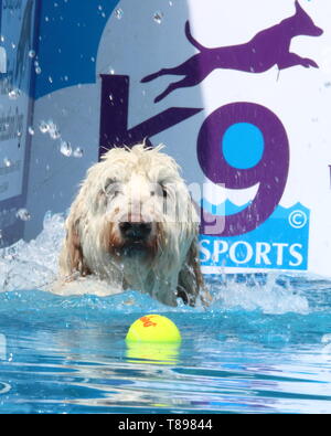 k9 aqua