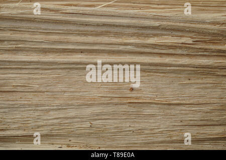 Wood breakthrough texture. Natural material texture or background. Stock Photo
