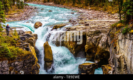 The famous wild waters of the Sunwapta Waterfalls in Jasper National Park in the Canadian Rockies in Western Canada Stock Photo