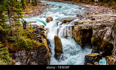 The famous wild waters of the Sunwapta Waterfalls in Jasper National Park in the Canadian Rockies in Western Canada Stock Photo