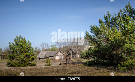Abandoned little house overgrown with blooming trees and bush in Belarus Chernobyl exclusion zone, recently opened for the public from april 2019. Stock Photo