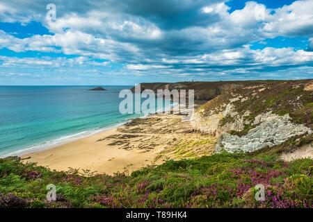 France, Cotes d'Armor, Plevenon, the coast along the GR 34 hiking trail between Erquy and Frehel Cape Stock Photo