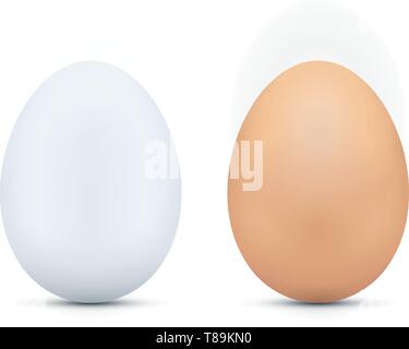 White and brown eggs on white background. Eggs vector icon. Stock Vector