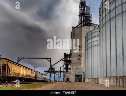 Swift Current, SK/Canada- 10 May, 2019:  Semi unloading under stormy skies at Paterson Grain Terminal in Swift Current, SK, Canada with railway Stock Photo