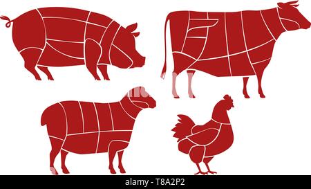 Meat cutting scheme. Butcher shop concept. Farm animals vector Stock Vector