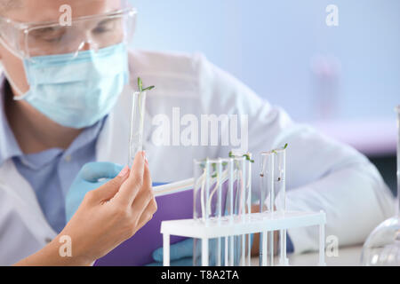 Scientists working with plants in laboratory Stock Photo
