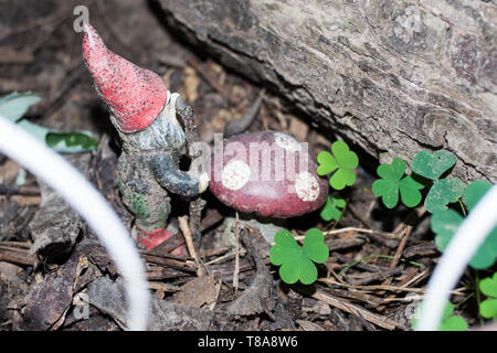 Garden Gnome Stock Photo