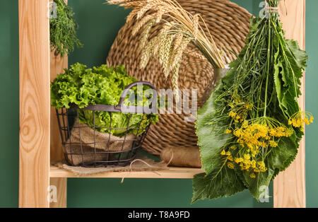 Hang-up bunch of herbs near basket with fresh lettuce on shelf Stock Photo