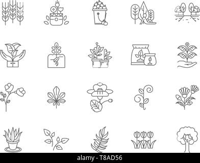 Botany line icons, signs, vector set, outline illustration concept  Stock Vector