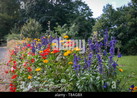 Colorful summer flowers along a cobble stone street in Marburg, Germany Stock Photo