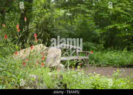 bench made of logs along path with wild columbine and large stone in foreground Stock Photo