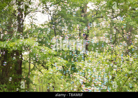 The rainbow bubbles from the bubble blower - Image Stock Photo