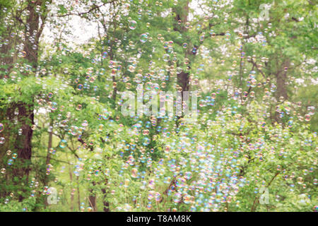 The rainbow bubbles from the bubble blower - Image Stock Photo