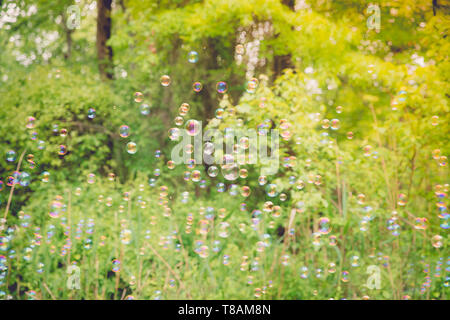 The rainbow bubbles from the bubble blower - Image Stock Photo