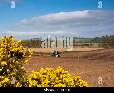 ploughing fields, Angus Glens, Scotland Stock Photo