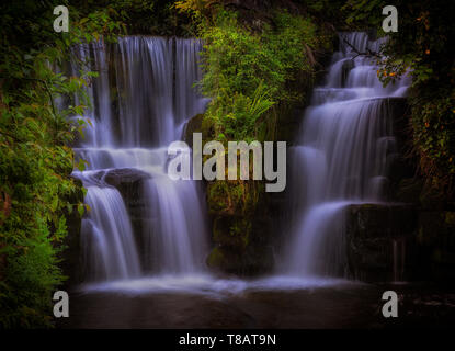 Penllergare waterfall on the Afon Llan river Stock Photo