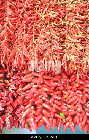 Portugal, Madeira Island, Funchal, market (Mercado dos Lavradores), Red Peppers for sale Stock Photo