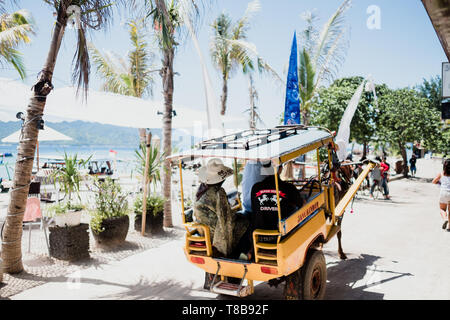 Indonesia, Lombok, Gili Trawangan, Cidomo Horse Powered Taxi On Beach ...