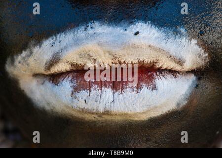 Papua New Guinea, Western Highlands Province, Wahgi Valley, Mount Hagen Region, festival of Hagen Show, detail of mouth painting of sing sing dancer Stock Photo