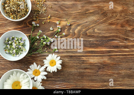 Bowls with beautiful fresh and dry chamomiles on wooden background Stock Photo