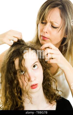 Mother checking child's head for lice - louse on head, curly hairs - white background Stock Photo