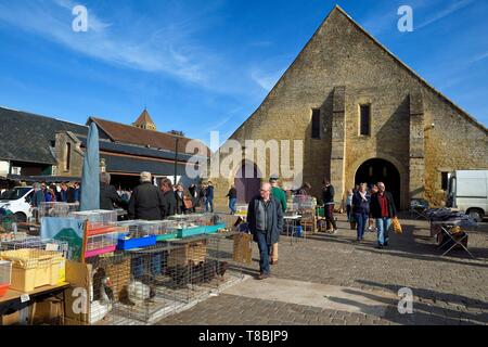 France, Calvados, Pays d'Auge, Saint Pierre sur Dives, market day in front of the 11th century covered market rebuilt in the 15th century, sale of live poultry Stock Photo