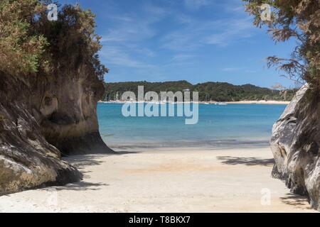 New Zealand, South Island, Tasman region, Abel Tasman National Park, Kaiteriteri Stock Photo