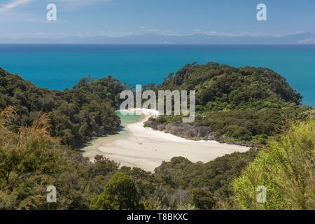 New Zealand, South Island, Tasman region, Abel Tasman National Park, Kaiteriteri Stock Photo