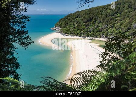 New Zealand, South Island, Tasman region, Abel Tasman National Park, Kaiteriteri Stock Photo