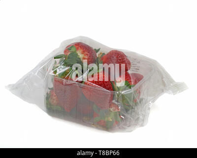 fresh strawberries wrapped with foil in plastic container Stock Photo
