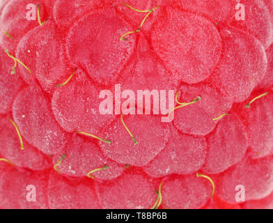 macro shot of red ripe raspberry, close up, red background of natural texture Stock Photo