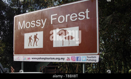 December 23, 2018-Cameron Malaysia : Signage of the Mossy forest in Camoron Highlands in Malaysia Stock Photo