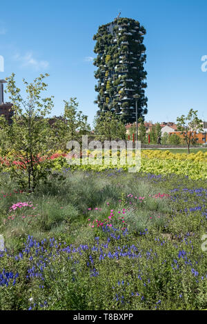 Bosco Verticale (Vertical Forest) are residential towers in Porta Nuova district, Milan, Italy, with hundreds of trees and plants grown on them. Stock Photo