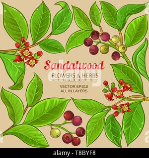 sandalwood vector frame on color background Stock Vector
