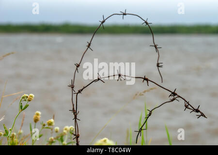 Old rusty barbed wire at the site of an SLON concentration camp on the shore of the White Sea in stormy weather Stock Photo