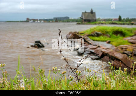 Old rusty barbed wire at the site of an SLON concentration camp on the shore of the White Sea in stormy weather Stock Photo