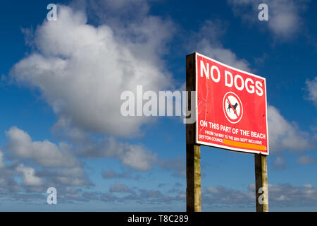 No dogs allowed on this part of the beach signs erected on the Southport coastline in Merseyside. Stock Photo