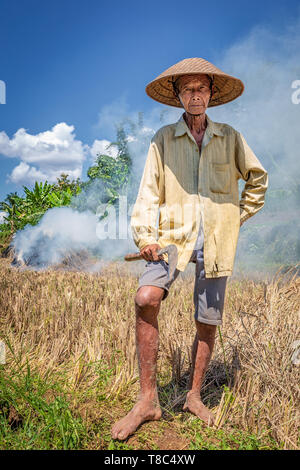 Portrait of an Indonesian rice farmer, Central Java, Indonesia Stock Photo