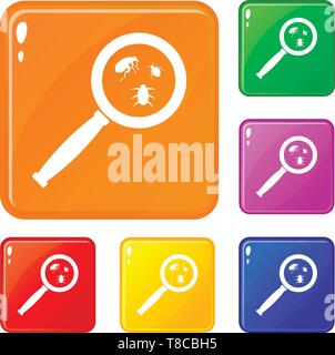Magnifier and insects icons set vector color Stock Vector