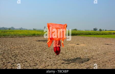 A girl wearing a salwar kameez flying a red dhupatta / clothin the air in a field on a bright day, selective focusing Stock Photo