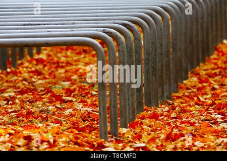 Landschaftspark Duisburg, Germany: Close up of metal frames bicycle stand with golden and red foliage in autumn colors Stock Photo