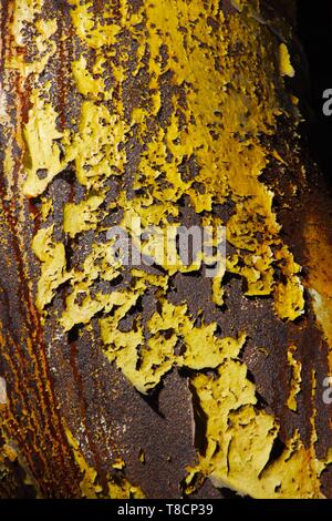 Landschaftspark Duisburg, Germany: Close up of bright multi colored paint peeling off a corroded metal tube Stock Photo