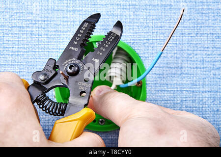 Electrician is cutting end of copper wire with wire stripper cutter during mounting round outlet box. Stock Photo