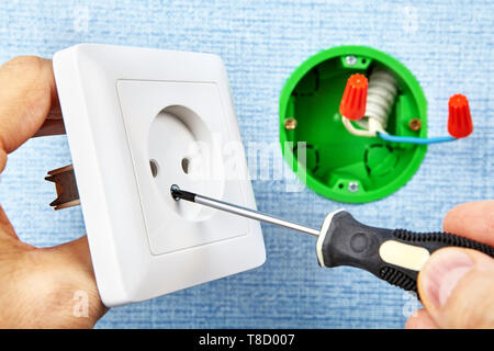 Electrician is tightening screw in new european  standard socket with screwdriver, electrical installation. Stock Photo