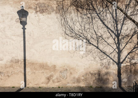Graphical and textured artisic image of old textured retro wall with vintage street lamp and tree shadow falling on the wall. Stock Photo
