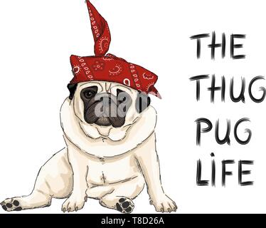 hand drawn vector illustration of thug pug puppy dog, sitting down with red western scarf bandana and text Stock Vector