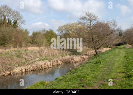 Footpath along The New Reach, Halesworth Millennium Green, Suffolk, England Stock Photo