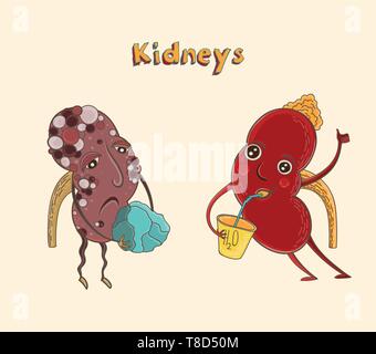 Cartoon vector illustration of healthy and sick human kidneys. Funny educational illustration for kids. Isolated characters. Stock Vector