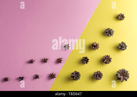 decor from pine cones isolate on the pink and yellow background. top view photo. Stock Photo