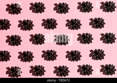 Pine cones isolated on a pink background, game for children. entertainment for kids. winter concept, composition concept, Montessori concept Stock Photo